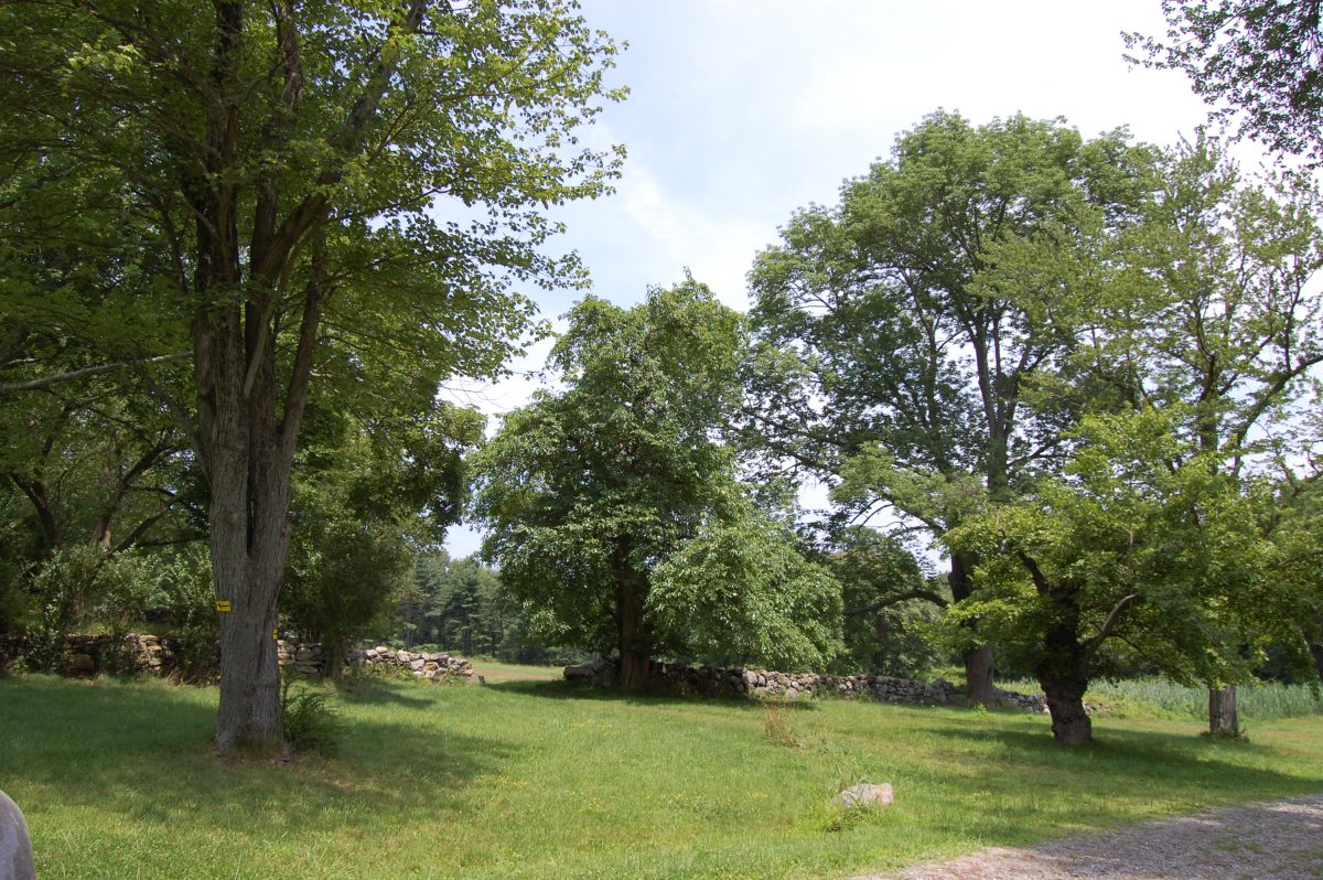 john jay homestead fourth of july